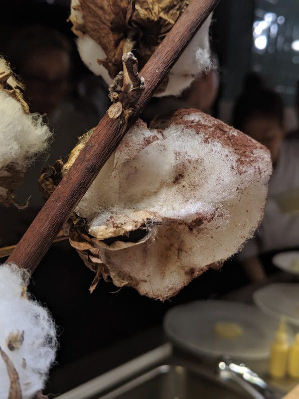 Cotton candy made to look like a cotton plant at Disfrutar in Barcelona, Spain