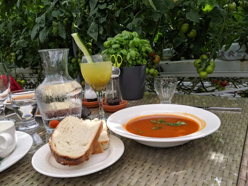 Icelandic tomato soup at Friðheimar