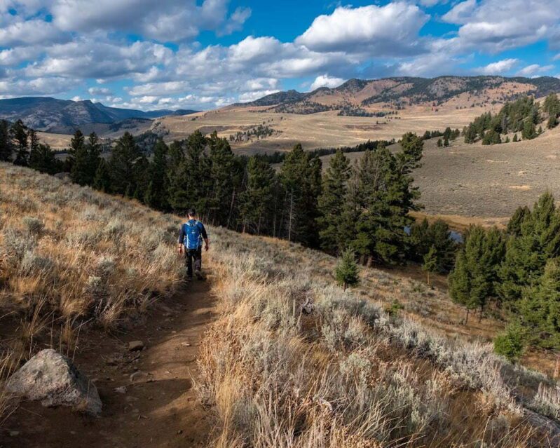 Man from Adventurous Tastes hiking Yellowstone River Picnic Area