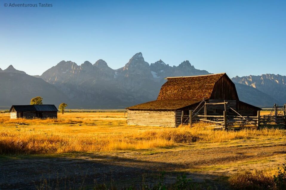 Golden light on an old farmhouse with mountain backdrop | photography spots in Yellowstone and Grand Teton