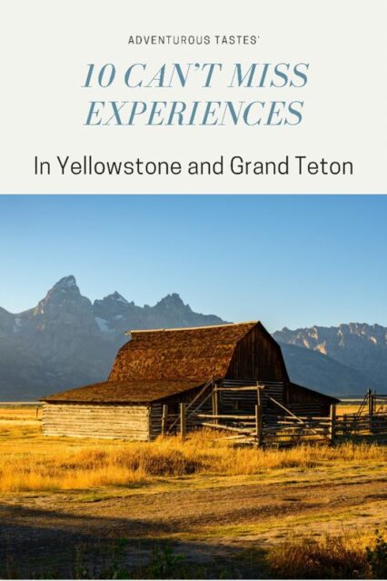 Adventurous Tastes | 10 Can't miss Yellowstone and Grand Teton experiences