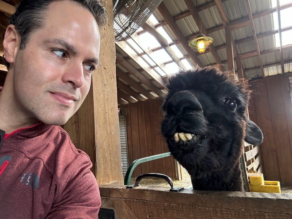 Jeff from Adventurous Tastes meets an alpaca at Buckbrook Alpacas in the Catskills in the fall
