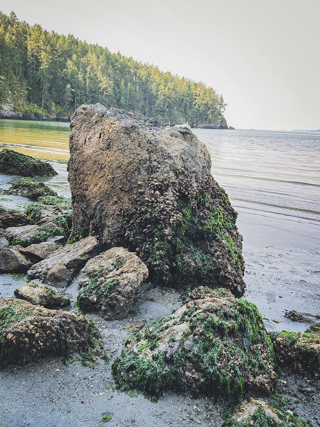 Rocky beach on Whidbey Island, Washington