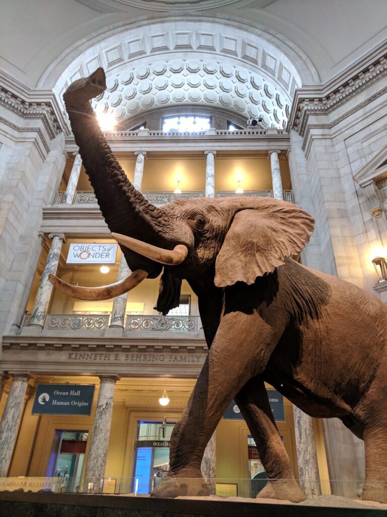 Spotlight on the Best Washington DC Museums for Kids
