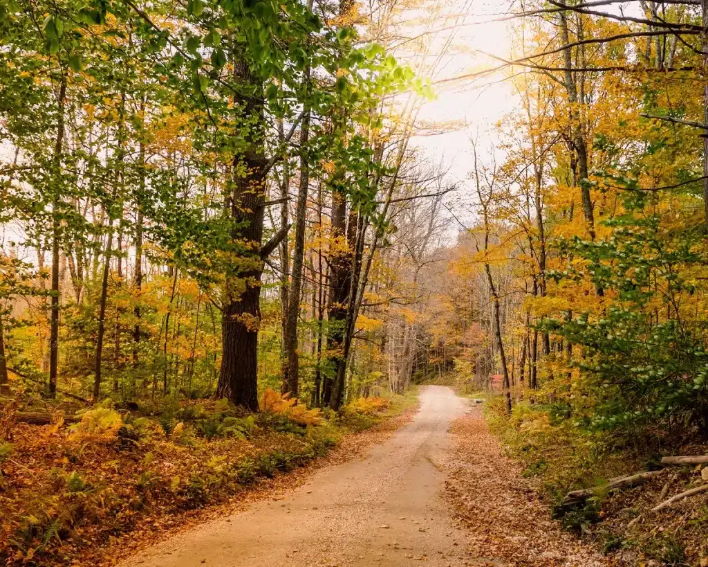 5 Fall Break Destinations Your Whole Family Will Love