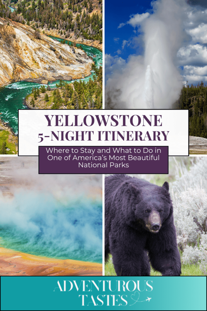 Yellowstone 5-night itinerary - where to stay and what to do in one of America's Most Beautiful National Parks | 4 images: river, old Faithful geyser, blue steaming geologic pool, bear | adventuroustastes.com