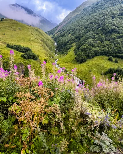 Kazbegi wildflowers and green mountain views - a must-see in any Georgia itinerary