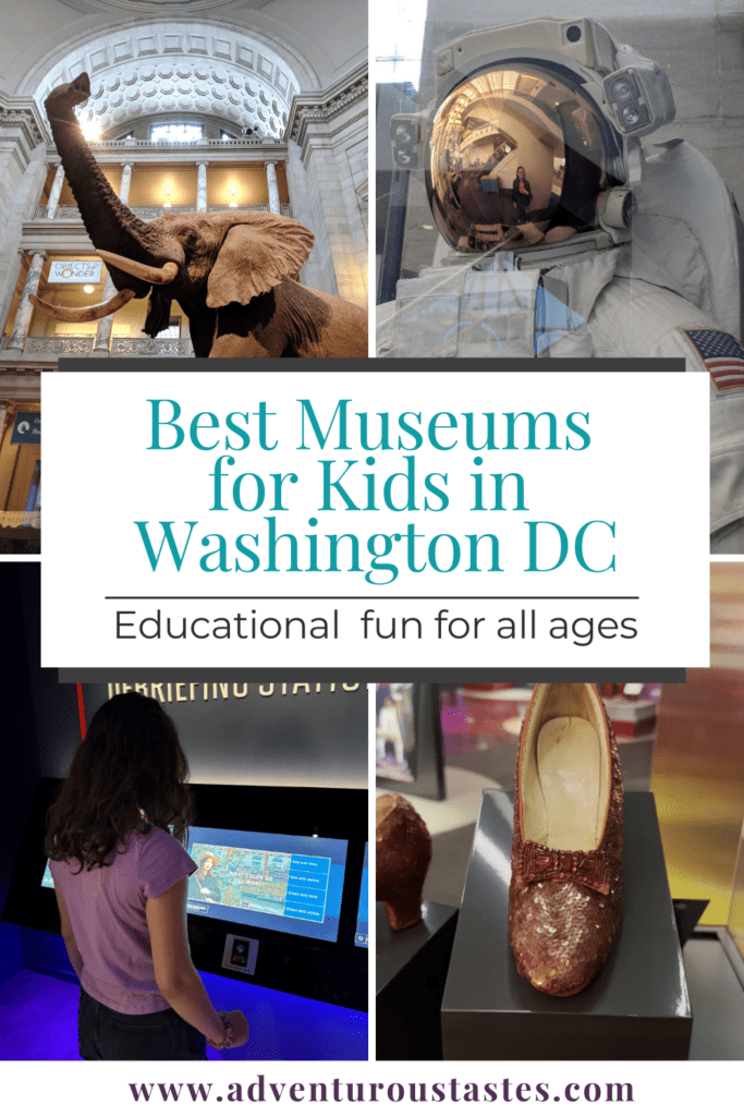 Best Museums for Kids in Washington DC | Educational Fun for All Ages
Images from the Smithsonian Natural History Museum Air & Space Museum, DC's Spy Museum and the American History Museum
