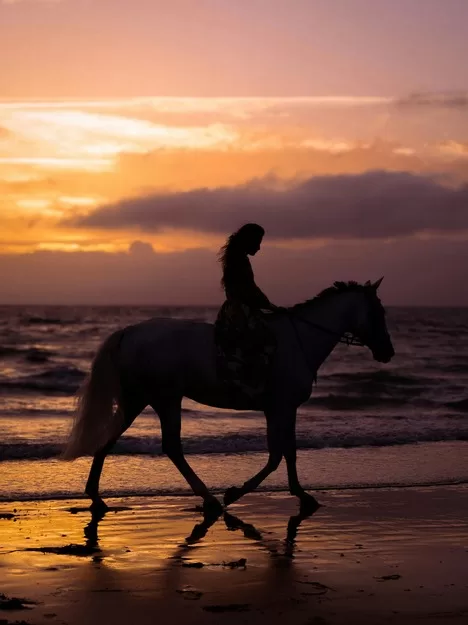 Woman horseback riding on the beach at sunset - one of the best things to do in Costa Rica