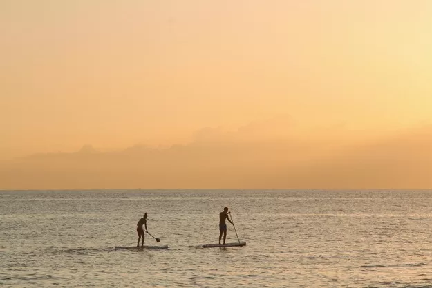 Stand up paddling boarding is one of the best things to do in Miami with older kids - here two people paddle board at sunset in the ocean